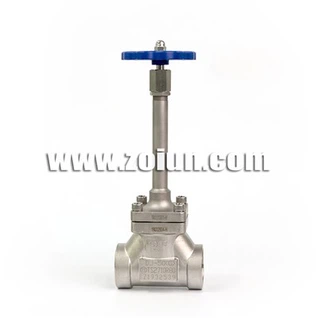 Cryogenic Globe Valve