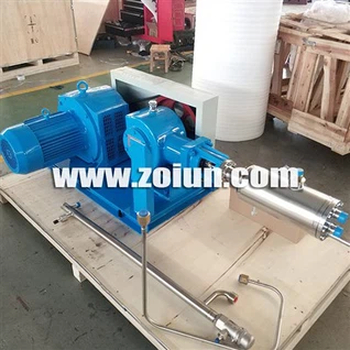 Reciprocating Pumps